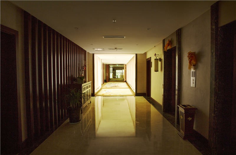 Ź (9)